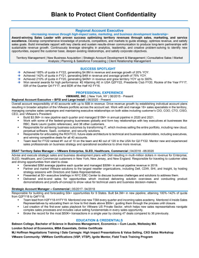 Technology Account Executive Sales Resume Example