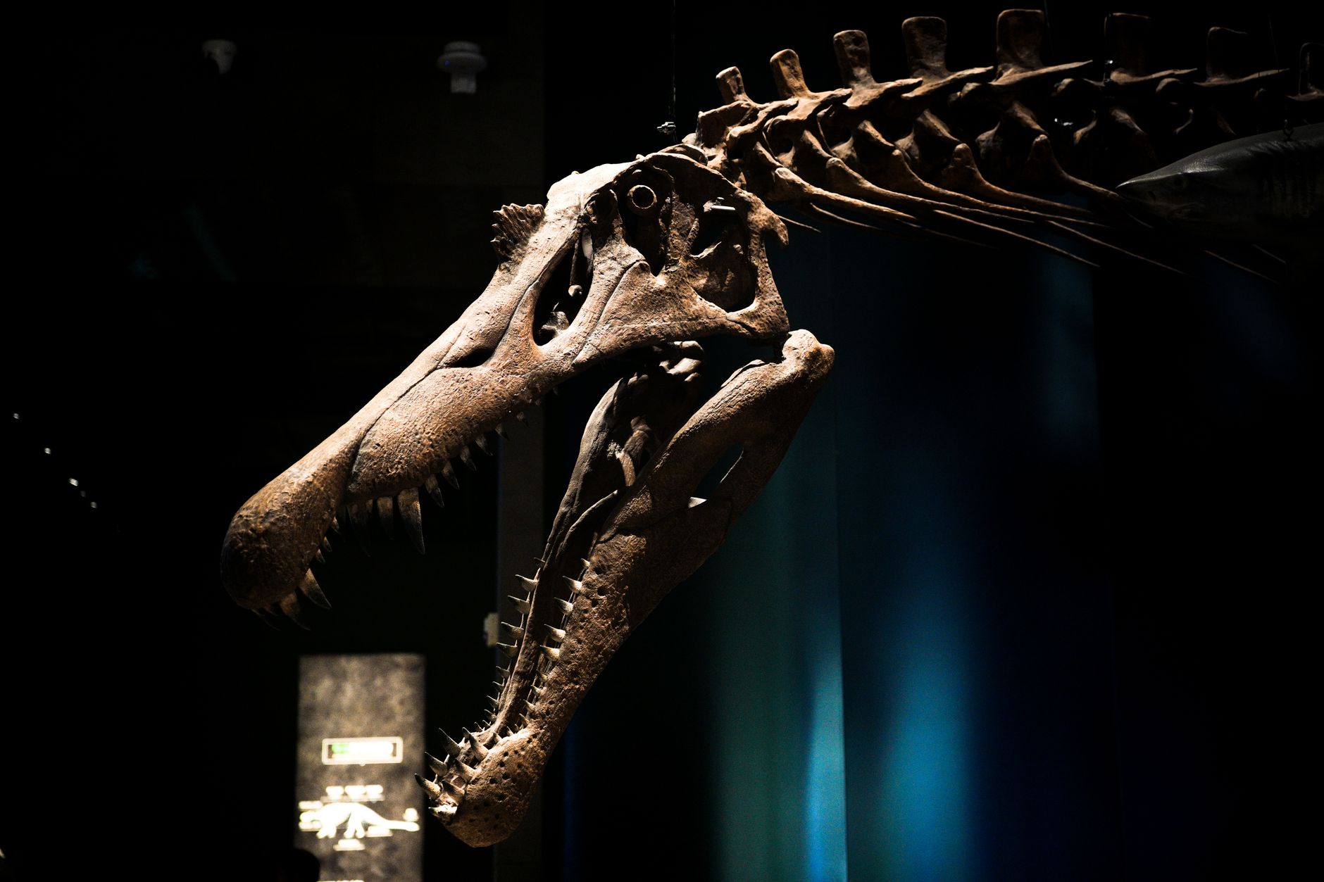 BBC Launches Virtual Dinosaur Field Trip Resources