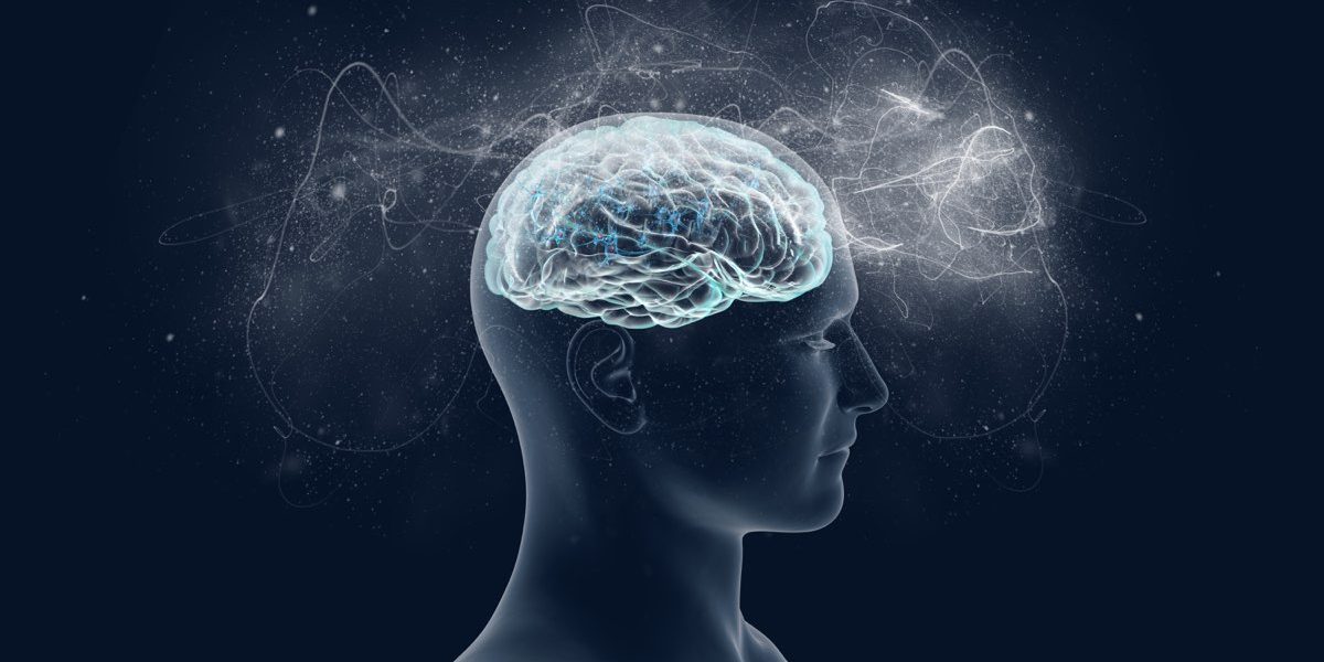 Greater Boston Neuropsychological Evaluation: What Professionals Value Most
