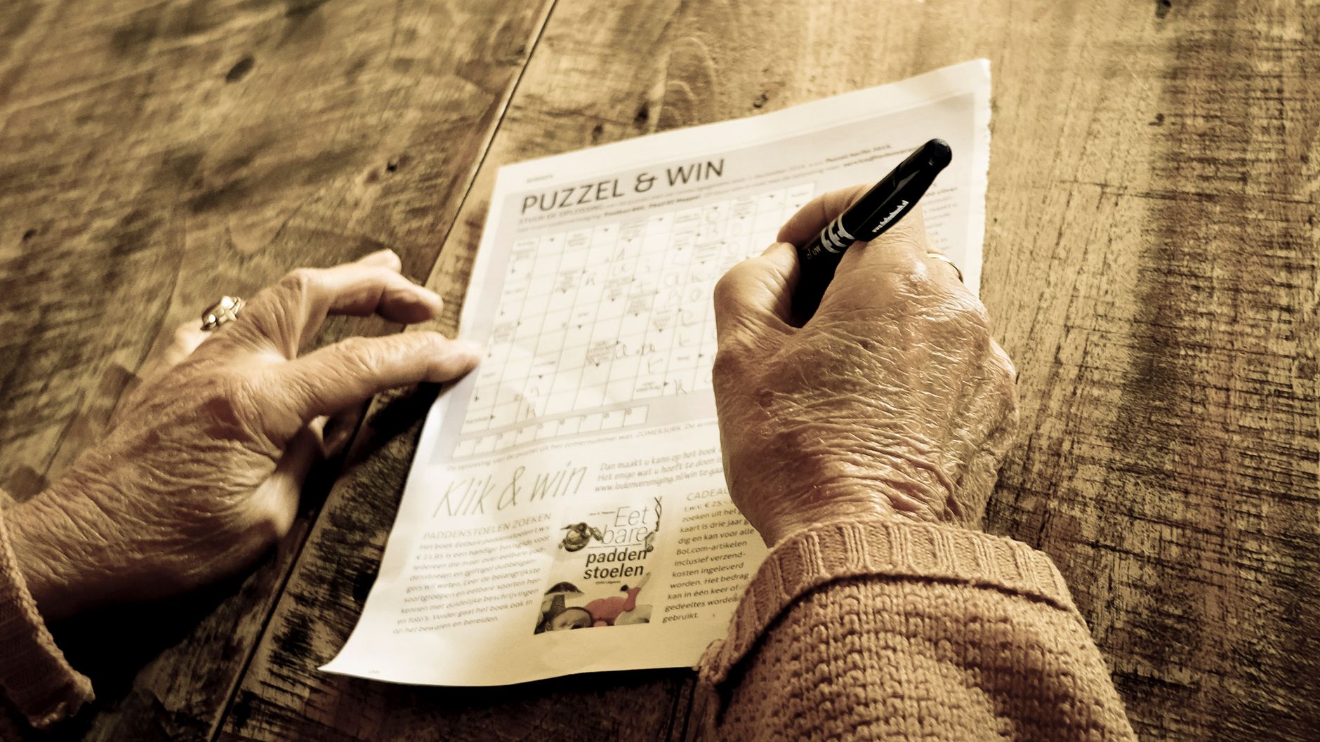 Brain recombines past knowledge for flexible planning