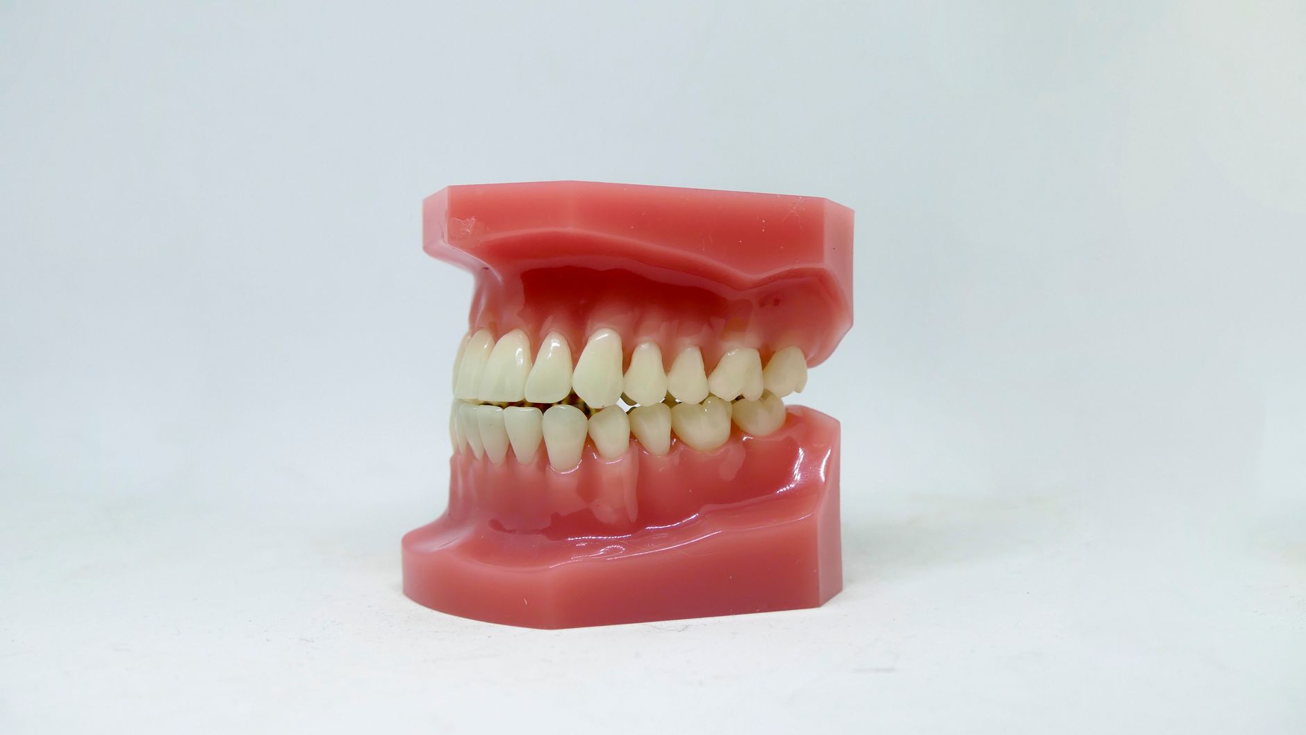 A Brief History of Orthodontics