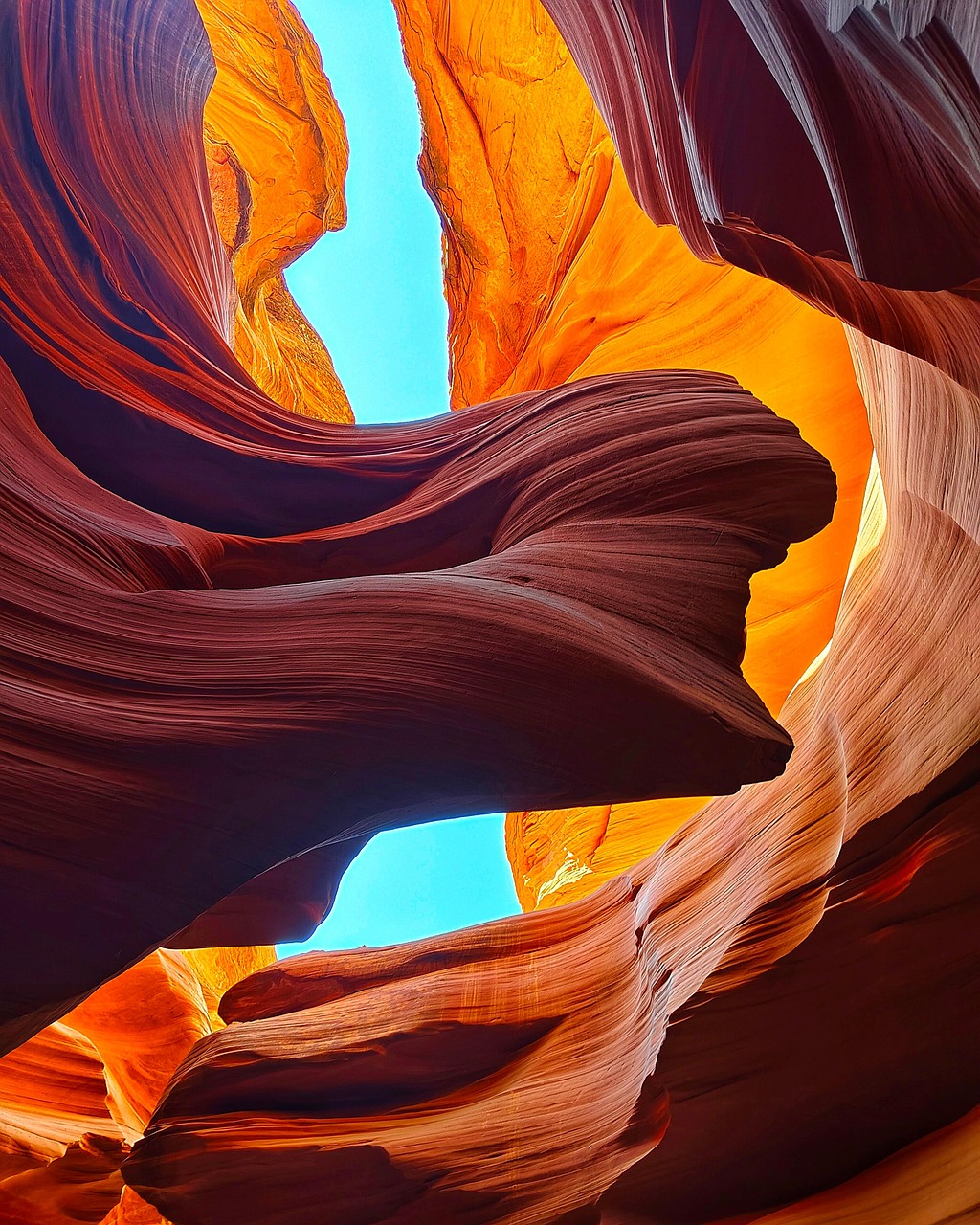 Hip Replacement Surgery in Arizona – What to Expect Before And After Your Procedure