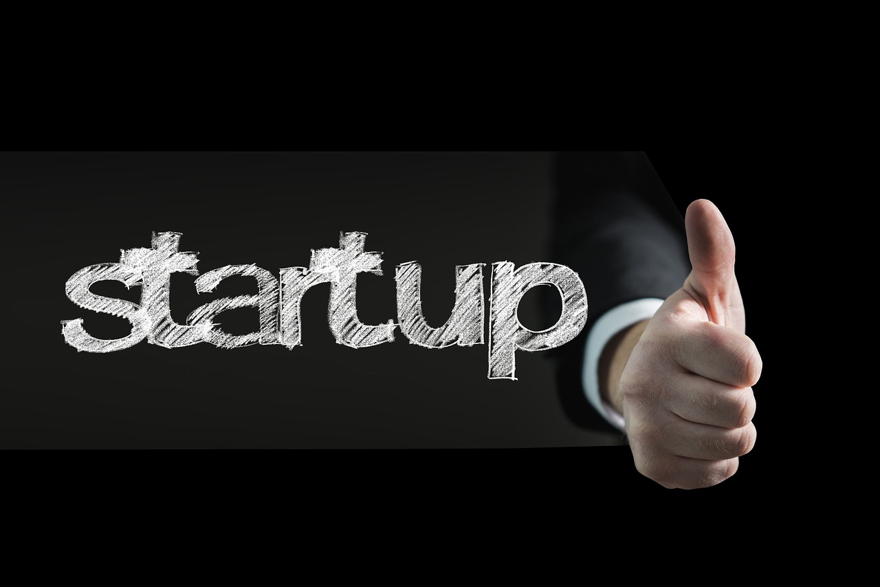 Why can creating an online business in the US this year be profitable?