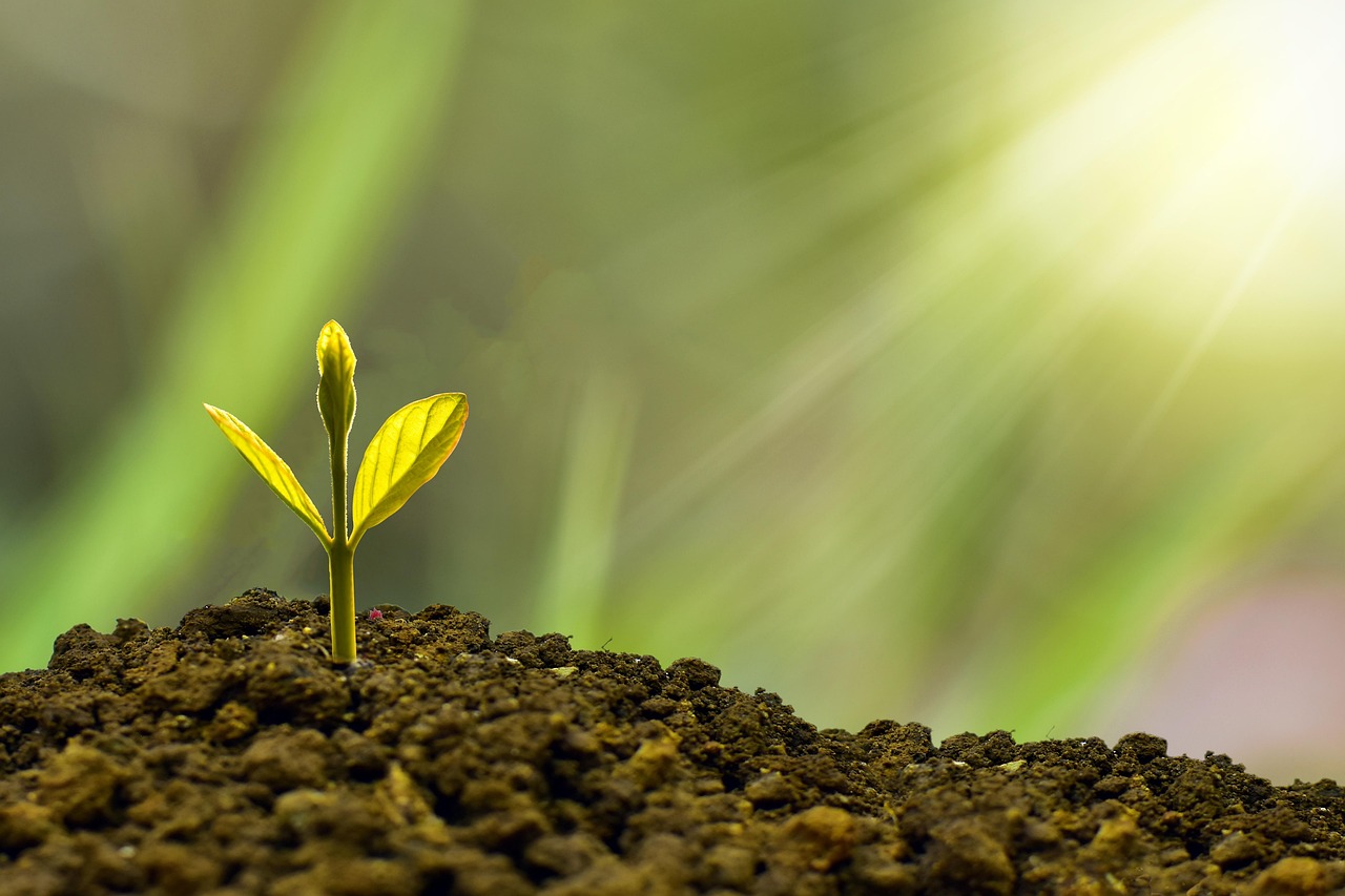 Important Steps For Growing Competitive Edge And Modern Methods