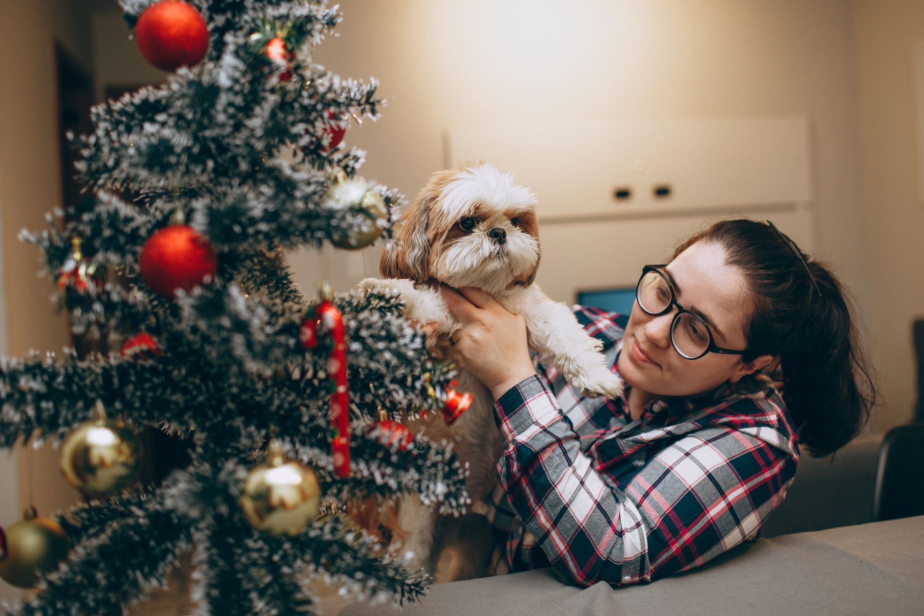 Keeping Your Pet Safe During Holidays: Tips and Tricks