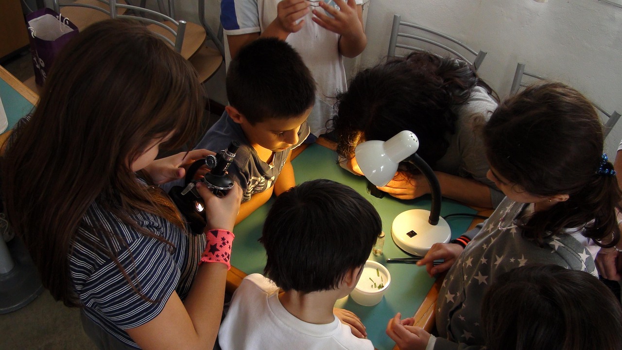 Understanding Learning Styles: How They Affect Teaching