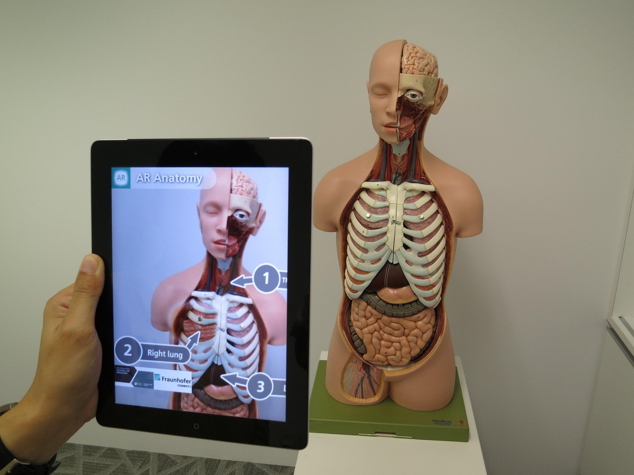 Understanding the Basics of Augmented Reality