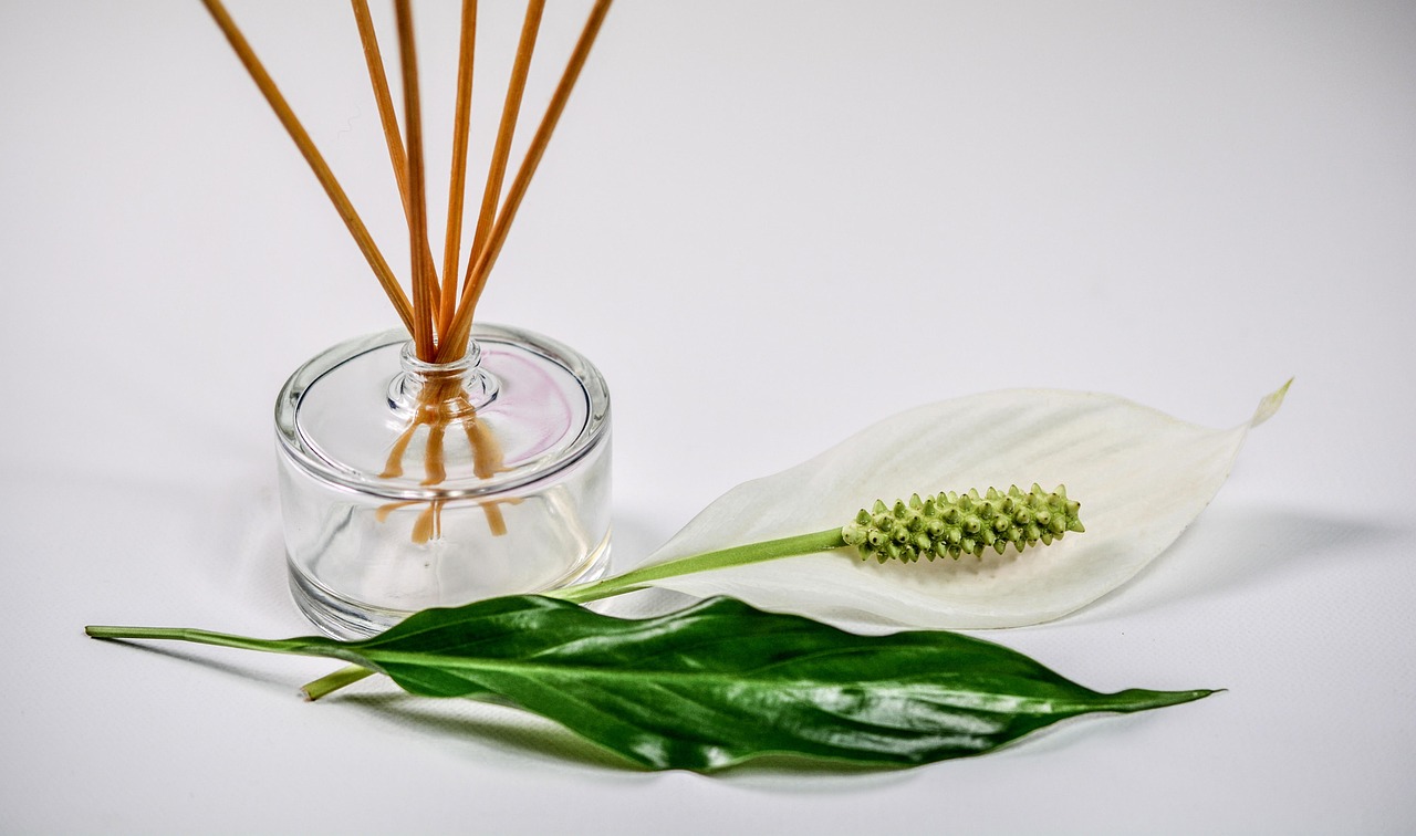 Why Bathroom Decoration is Essential for Success: More Than Just Aesthetics