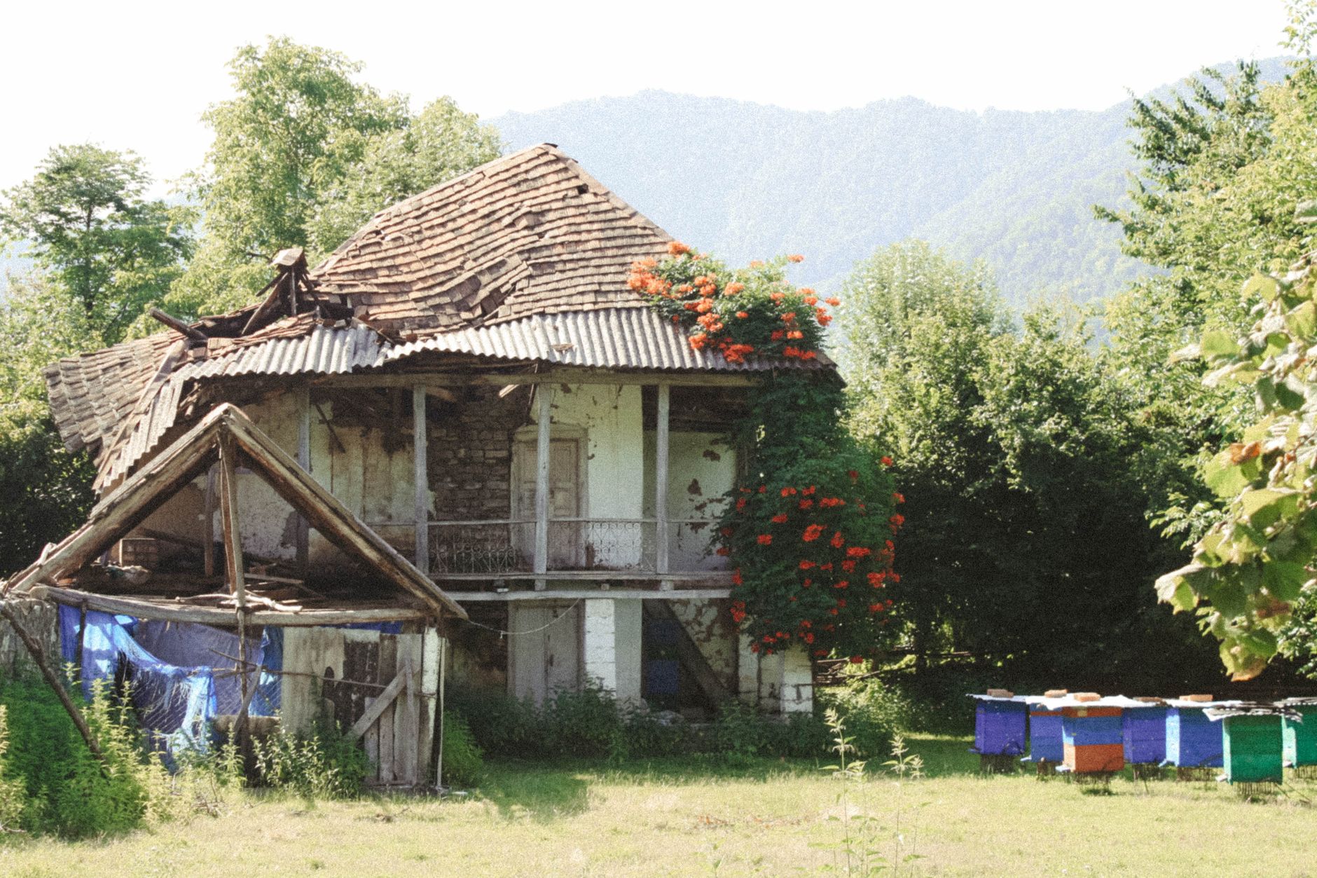 The Unseen Influences Shaping Our Homes