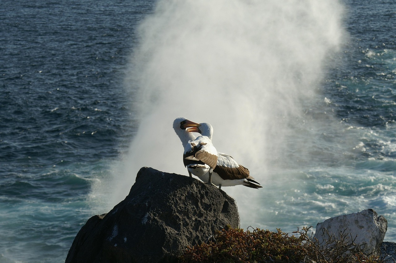 Deals Require More Than Low Purchase Prices