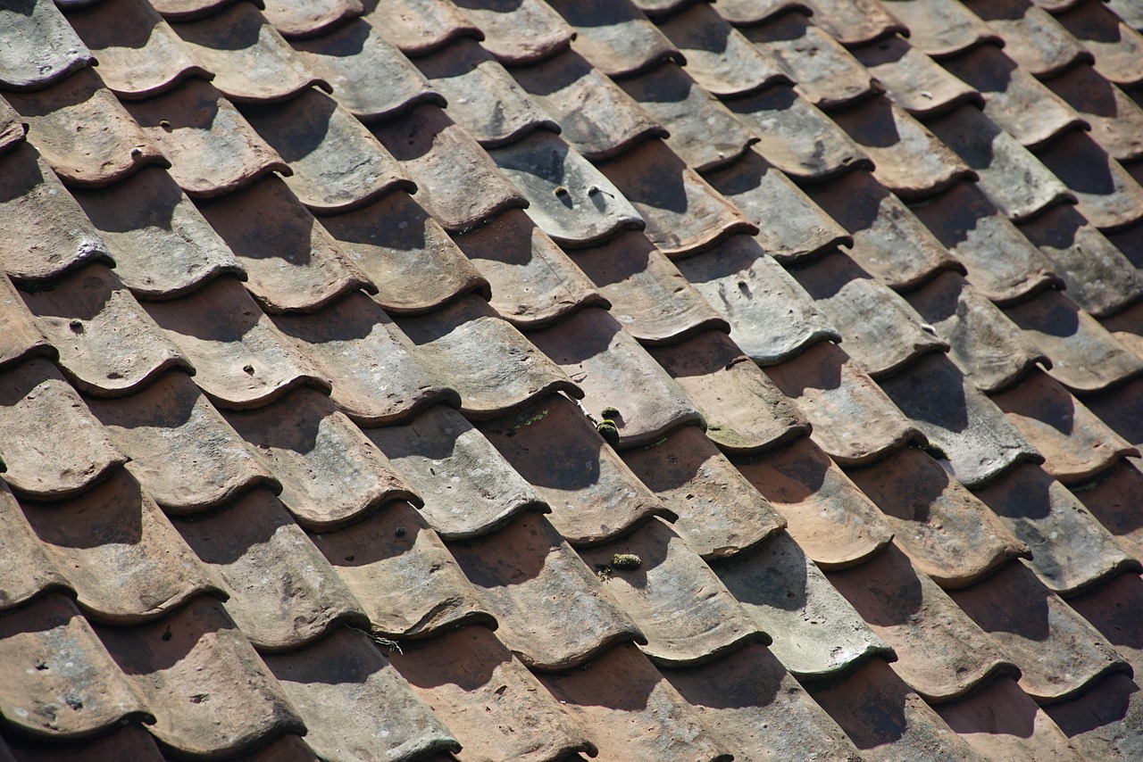 The Roof of Your house are damp and dry? Here’s how to fix it.