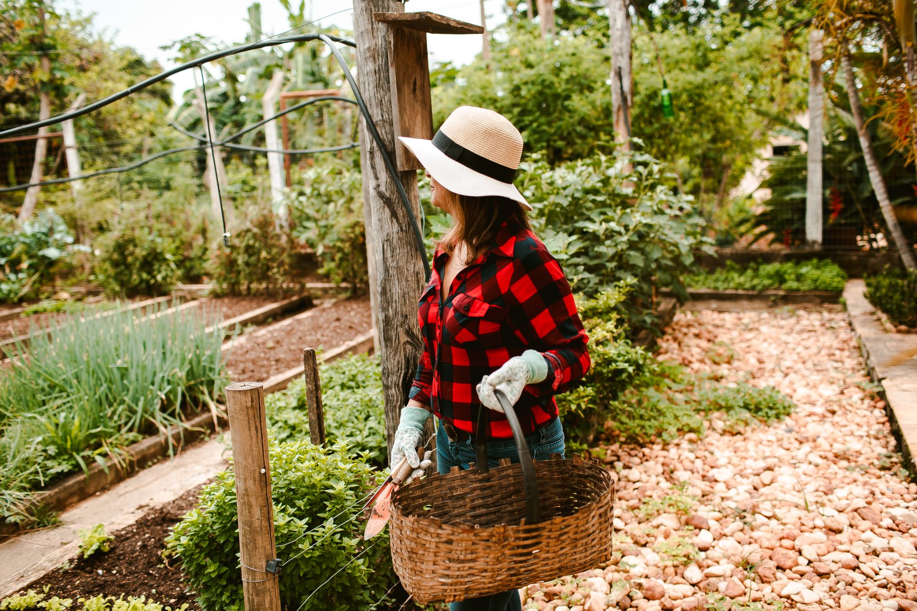 Things I Learned from Another Amazing Gardening Year