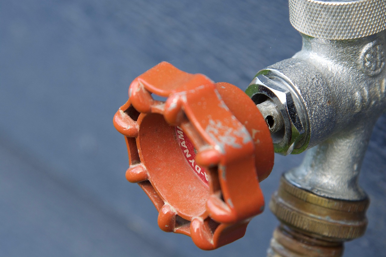 How a Professional Plumber Will Help Unclog Your Drains in Style