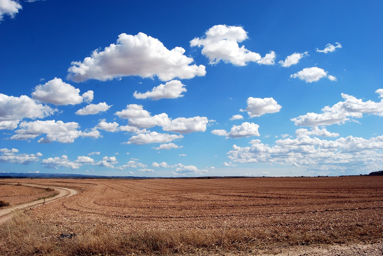Why Buying a Plot of Land is a Smart Investment in 2025?