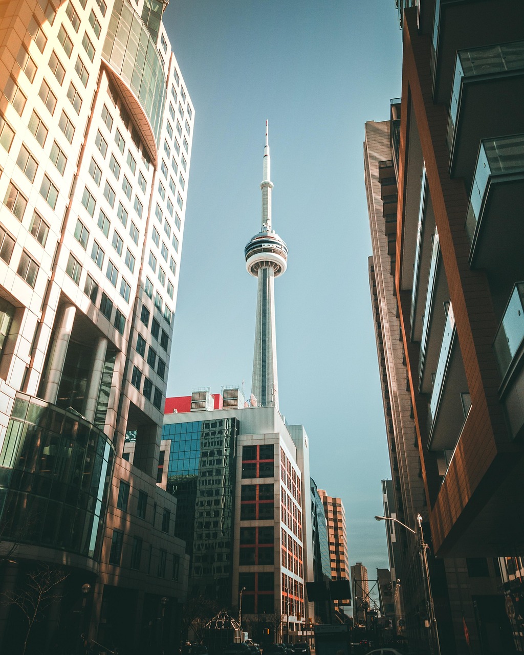 Navigating Toronto’s Rental Market with Marco Pedri: Your Trusted Toronto Rental Agent