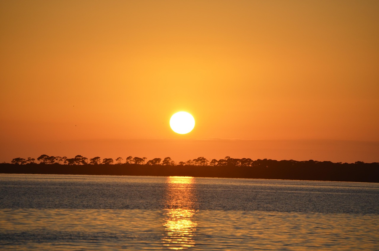 Florida Living: Comparing Pace, Bronson, and Clearwater Beach