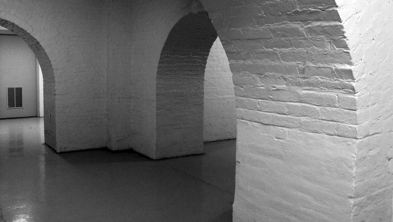 Transforming an Unused Basement into Livable Space