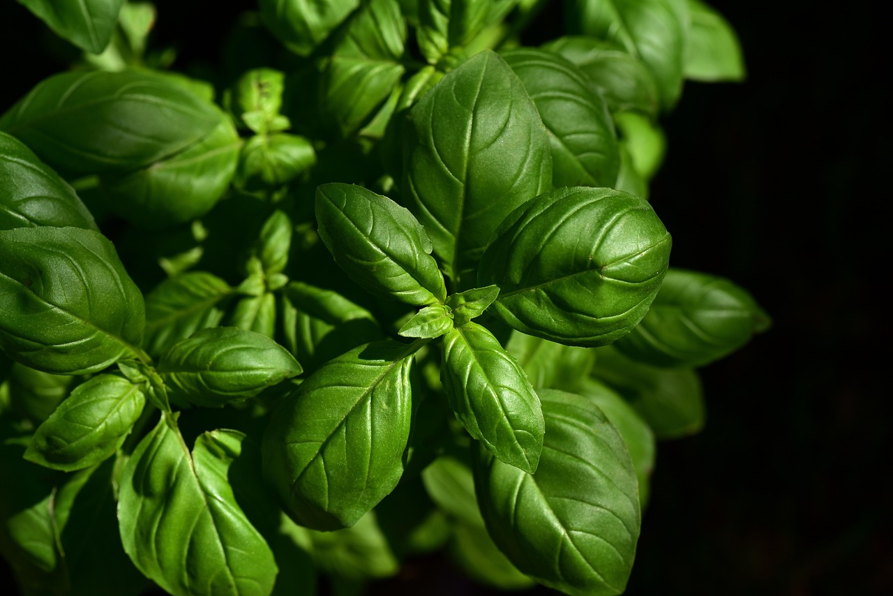 Transforming a Dull Kitchen into a Culinary Haven