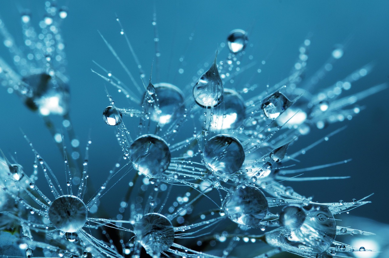 Purity at Your Doorstep: How Water Delivery Services Guarantee Quality