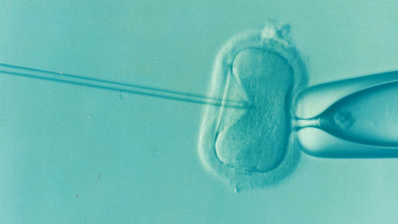 Debunking Myths Associated With Infertility