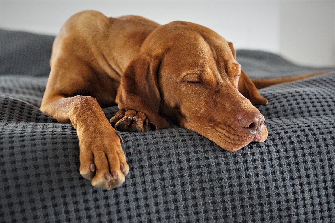 5 Solutions for Managing Sleep Apnea Symptoms