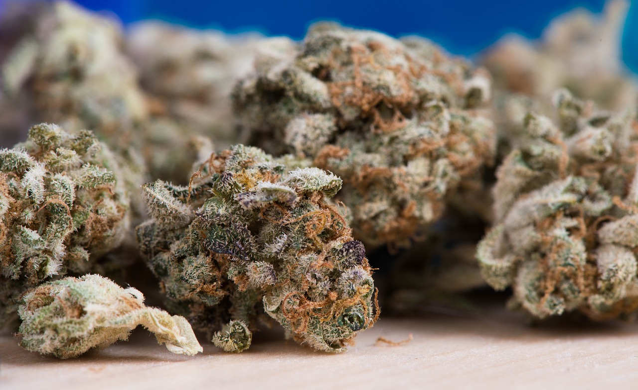 How to get a medical marijuanas card in Alabama online