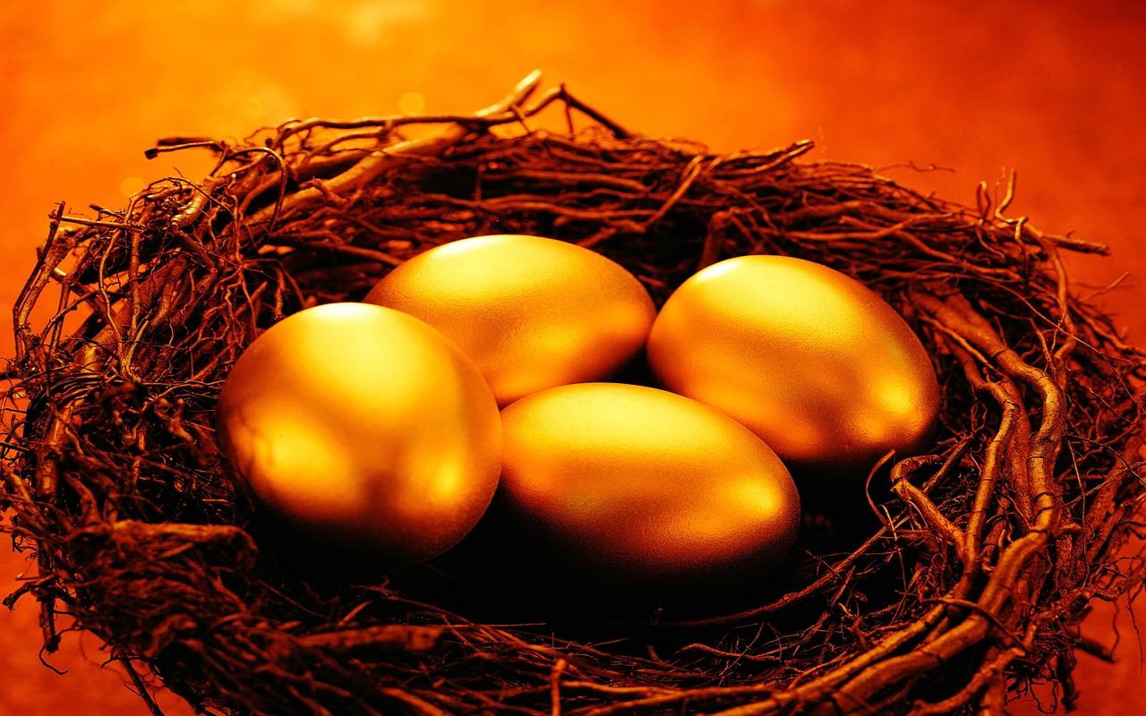 The Blueprint to Abundance: Why a Wealth Advisor is Your Architect of Prosperity