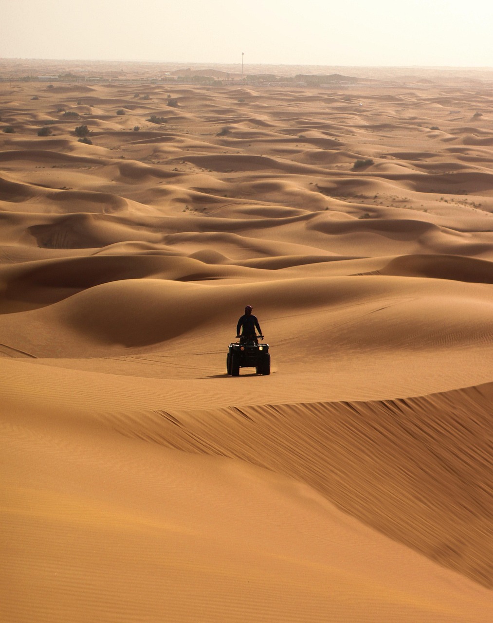Why Investors in Dubai Are Choosing Indices Trading Over Stocks