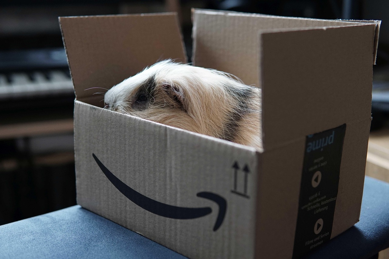 Best Amazon Prime Day Hair Tool Deals