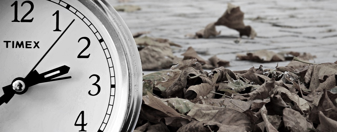 How to Build a Business That Thrives on Adaptability and Change