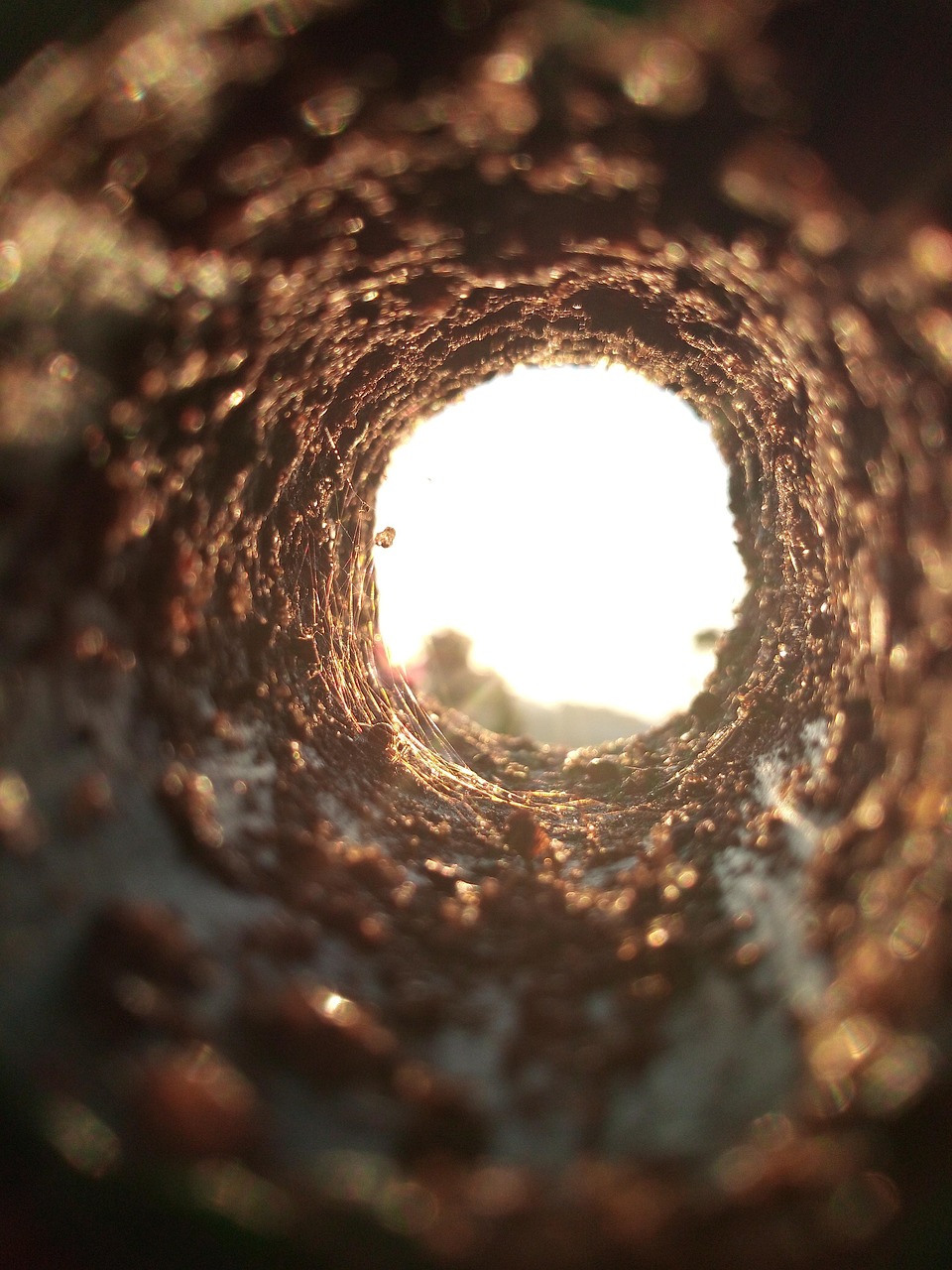 Beyond Firewalls – Exploring Next Generation Cyber Defense