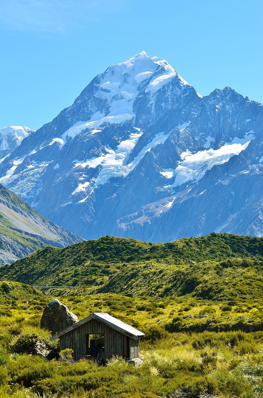 Exploring the Positive Trends of New Zealand’s Real Estate Market