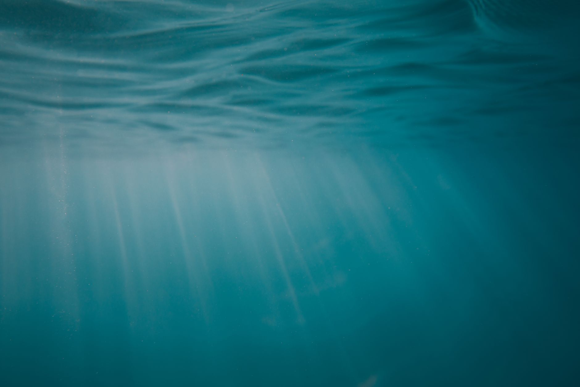 Protecting Your Future: A Deep Dive into Insurance Investment Strategies