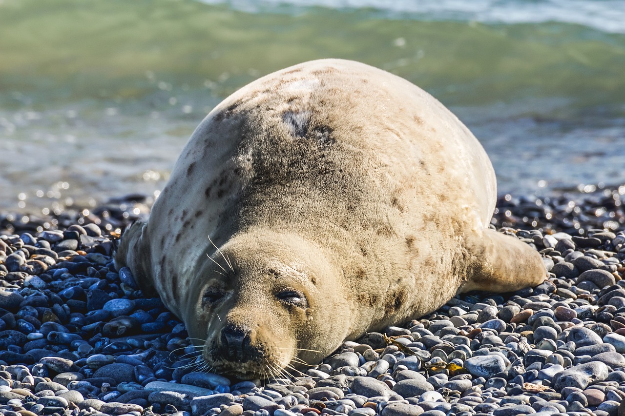Why more sleep doesn’t help insomnia and depression