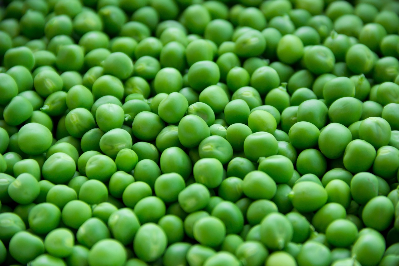 Teeth & Nutrition: Is Vegan or Vegetarian Better For Dental Health?