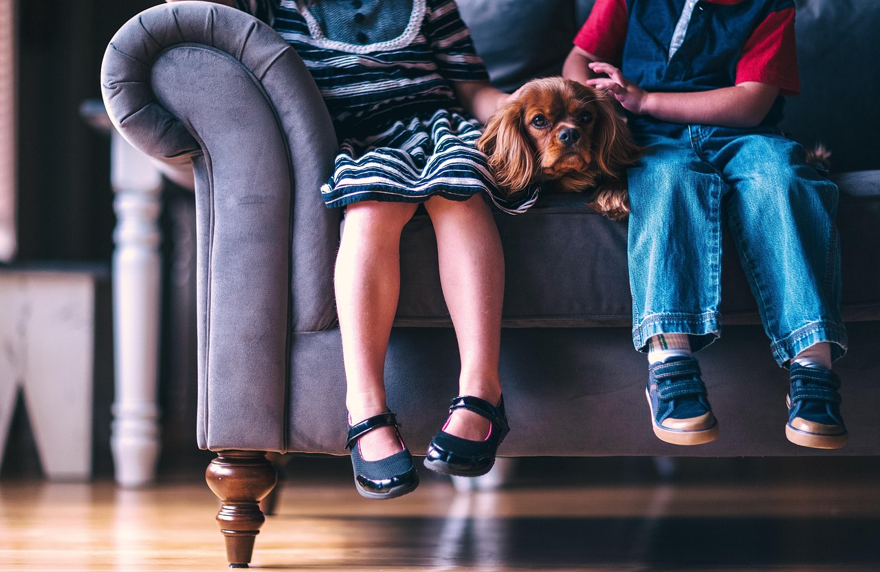 Podiatry And Footwear: How The Right Shoes Can Make A Difference