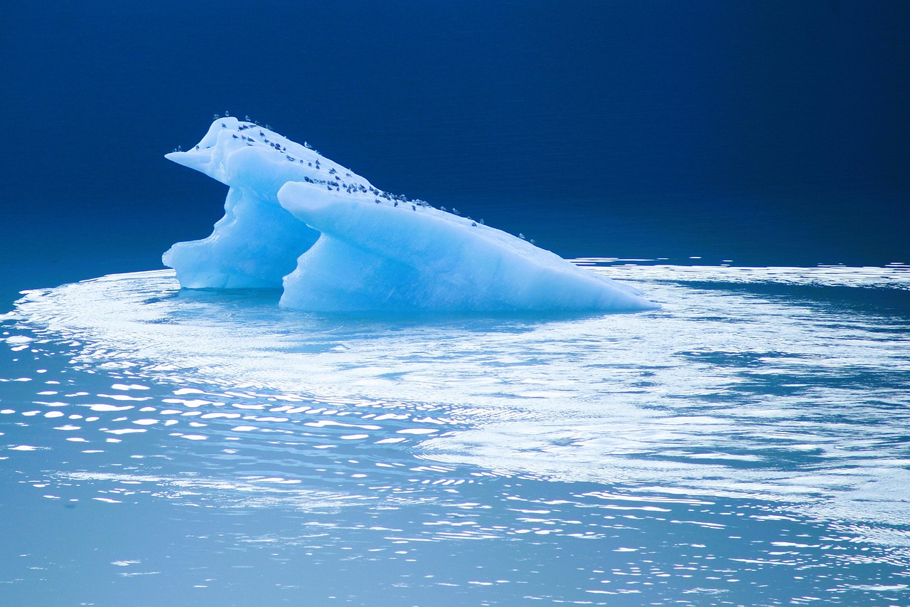 Foot Care In Cold Climates: A Podiatrist’s Guide For Skiers And Snowboarders