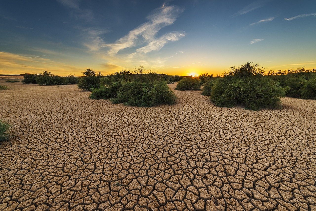 How to Cultivate Resilience in Tough Times