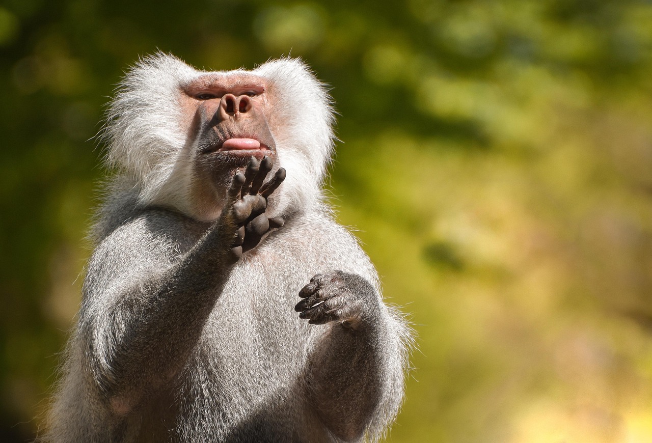 Understanding User Behavior Through Clickstream Analysis