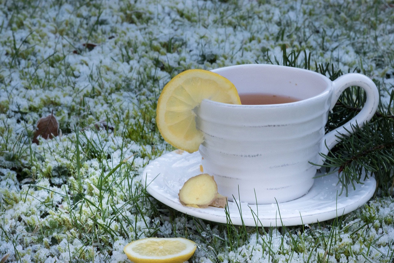 Herb of lemon water and ginger to shrink the stomach
