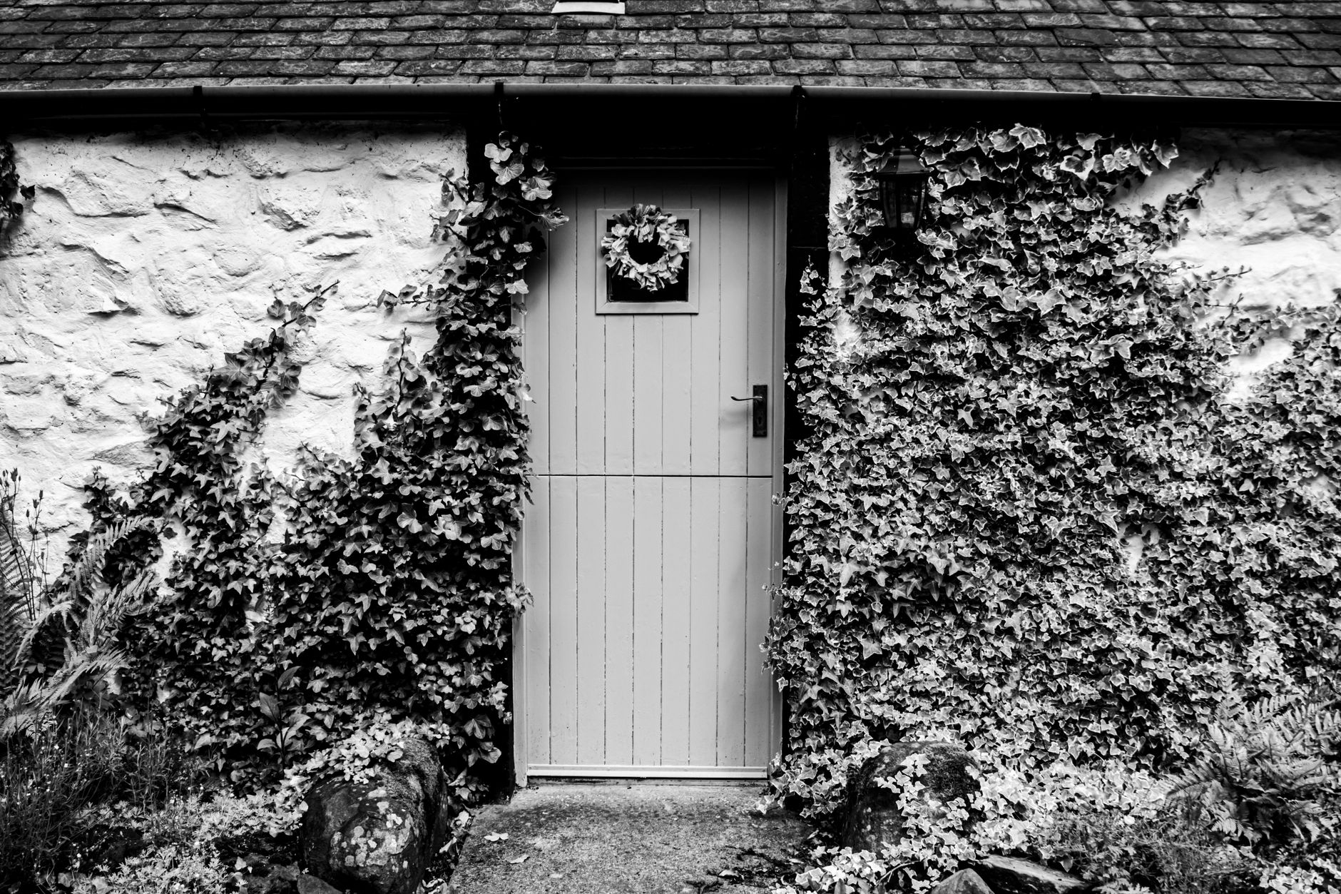 Countryside Home Defies Cottagecore Image
