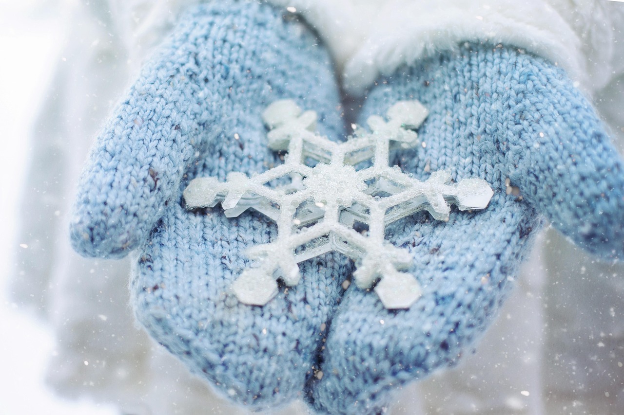 Snowflake stock jumps on strong earnings report
