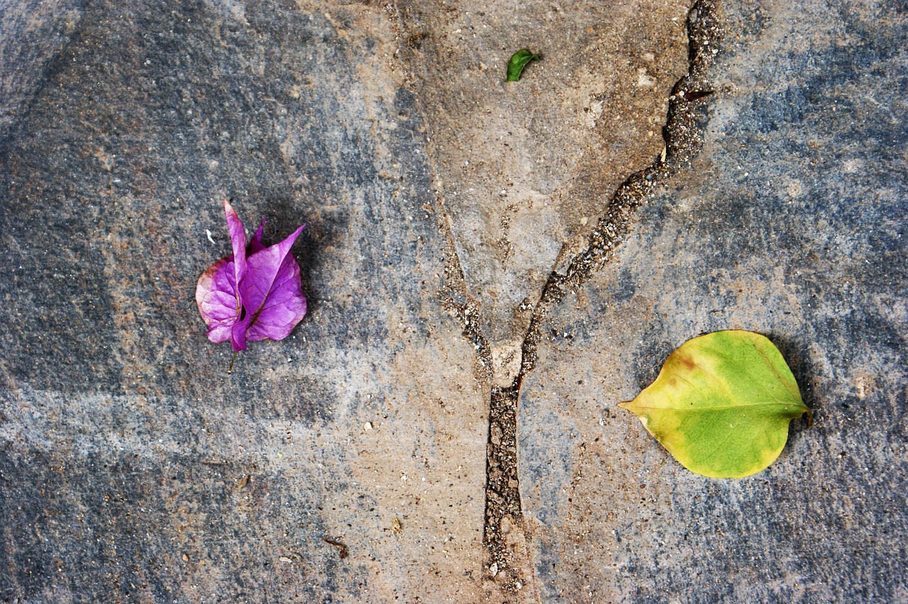 Lessons in Launching a Small Projects Division