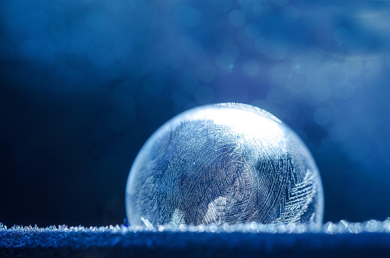 Businesses brace for increased ICE interactions