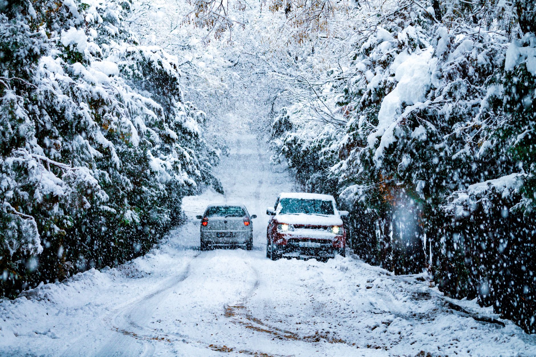Snow Foam for Heavy Duty Winter Cleaning