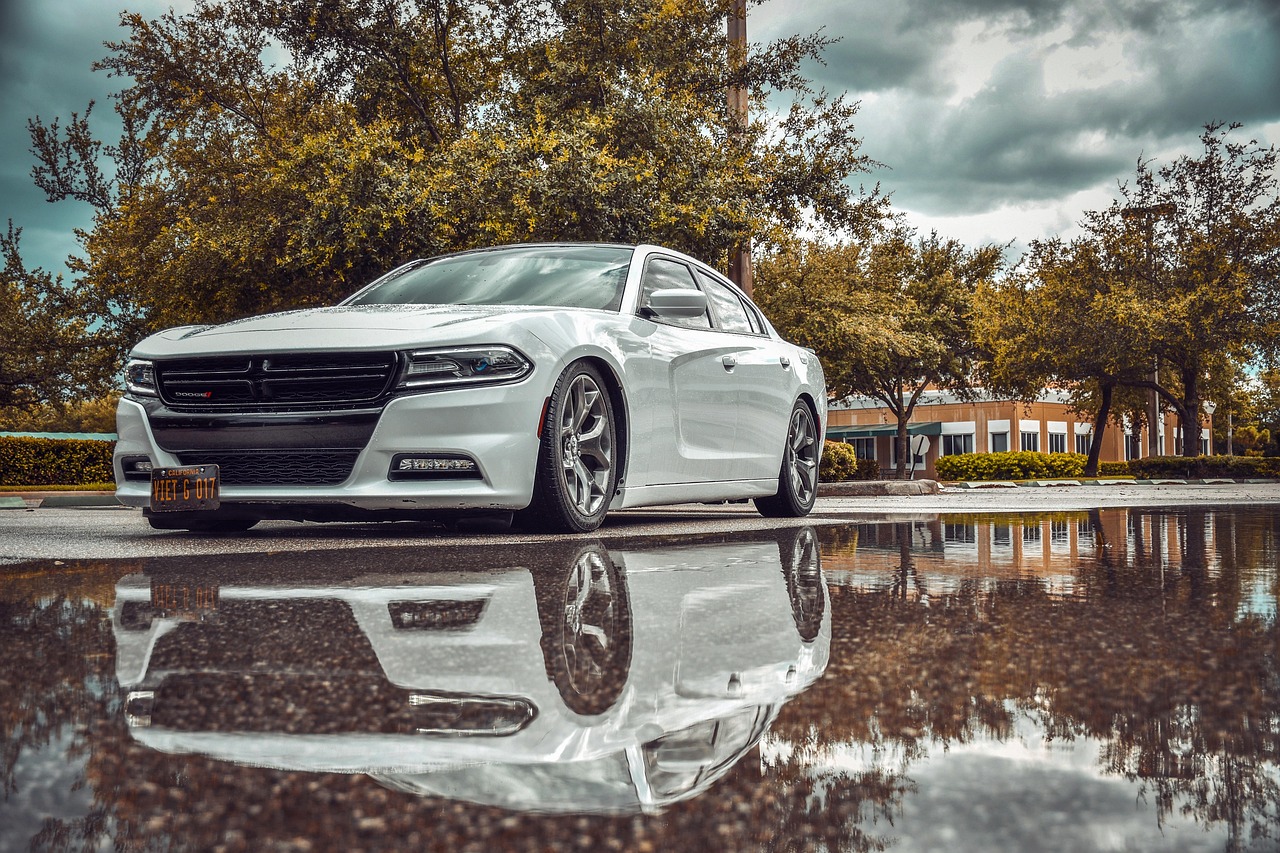 US Slows Pace of EV Charger Installations