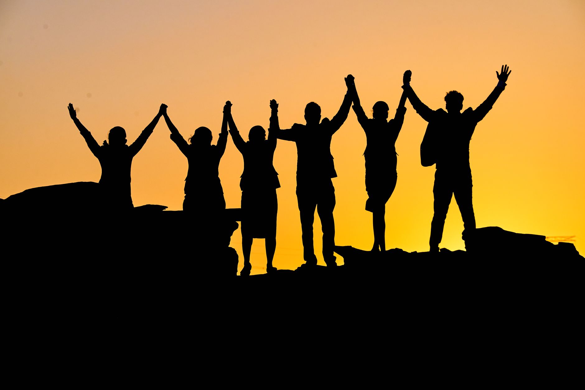 Maximising Organisational Success: The Untapped Potential of Culture Consultants