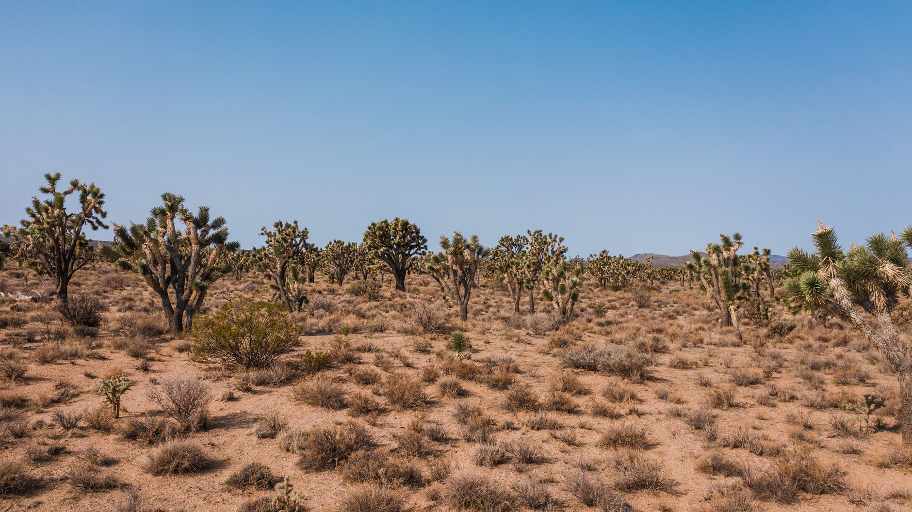 Mojave Desert Processes 400,000 Tonnes of Steel Scrap