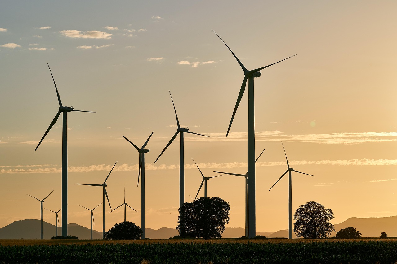 Renewable Energy Sector Growth Forecast