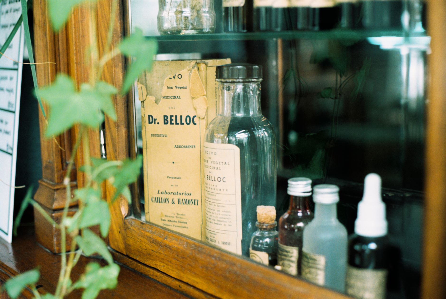 Ancient and Traditional Medicine Indonesia Pharmacy